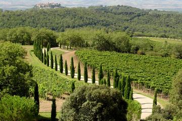 Private Half-Day Tour of Montalcino and Crete Senesi from Siena