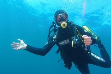 2-Day Supervised Scuba Diver Training in the Calanques National Park from Marseille