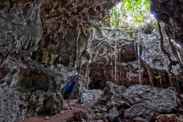 Iguabonita Cave Expedition