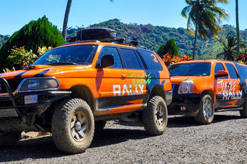 Jungle Rally