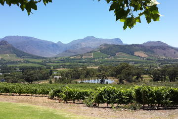 Cape of Good Hope and Cape Winelands Day Tour from Cape Town