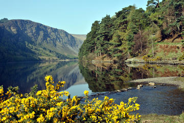 Excursão em Wicklow, Powerscourt e Glendalough saindo de Dublin