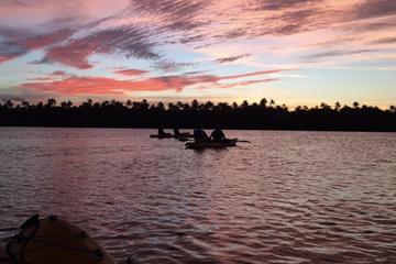 Bio Bay Kayak Tour in Fajardo