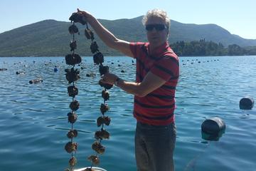 3-4h STON, OYSTERS and WINE TOUR FROM DUBROVNIK