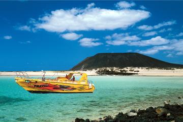 Lobos Island - The dolphin route