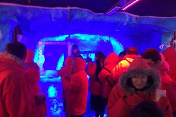 Argentinian Ice Bar, Wine and Dinner Experience
