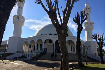 City Tour with Buddhist Temple and Muslim Mosque and Ecomuseum
