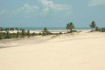 Mangue Seco from Salvador