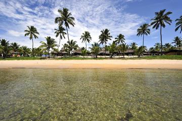 Porto de Galinhas Day Trip