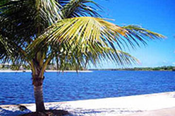 Schooner Tour to Ilha dos Frades and Itaparica from Salvador