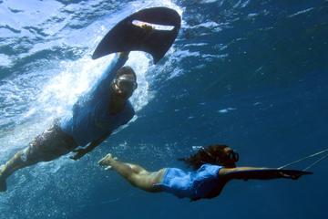 Underwater Boat Hitchhiking with optional Barbecue Lunch