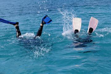 Las Terrenas 2-Tank Scuba Dive for Certified Divers