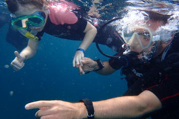 Snorkeling Trip