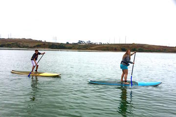 Stand-Up Paddleboard Adventure Lesson in Carlsbad
