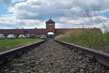 Auschwitz-Birkenau Memorial and Museum Trip from Krakow Old Town