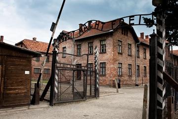 Full-Day Tour to Auschwitz-Birkenau and Wieliczka Salt Mine from Krakow