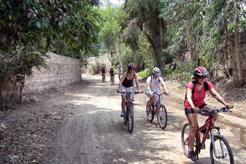 Full-Day Pachacamac Valley Mountain Biking from Lima