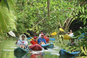 Damas Island Boat Tour From Quepos