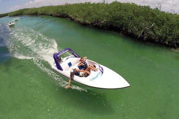 Jungle Tour From Cancun