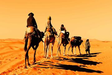 Fez through Merzouga Desert 4-Day Private Tour from Marrakech