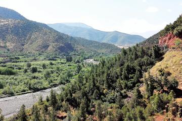 Full-Day Private Tour to Ourika Valley including Guided Trek and Lunch from Marrakech