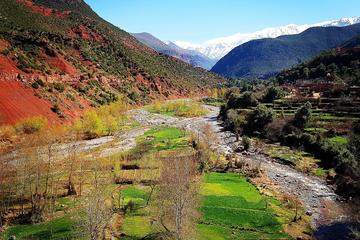Full-Day Tour from Marrakech to Ourika Valley including Camel Ride Lunch and Guided Hike