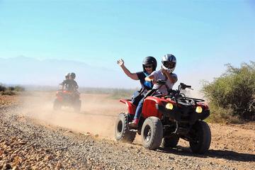 Marrakech Palm Oasis and Desert Quad Bike Adventure