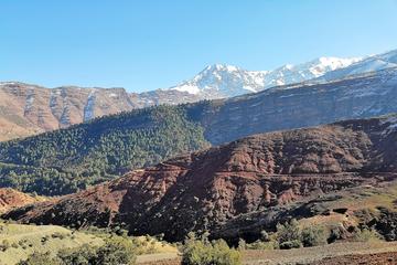 Marrakech to Imlil Valley Tour with Lunch and Guided Trek