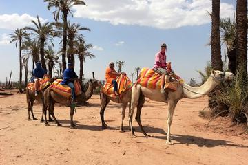 Sunset Camel Ride Tour in Marrakech Palms Grove Area