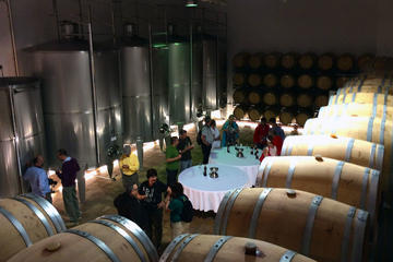 Benidorm Winery and Tapas Cooking Class Gourmet Day
