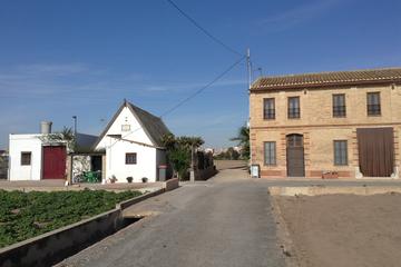 Horchata Tour and Workshop in Valencia for Groups