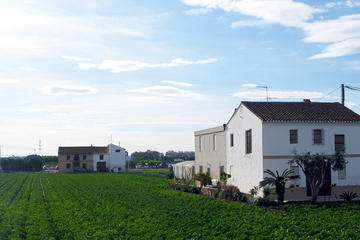 Horchata Tour and Workshop in Valencia