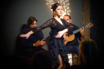 Small Group Valencia Tour by Bus with Tapas and Flamenco Show