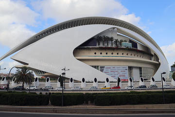 Valencia Tourist Bus Ticket, Walking Tour, and Paella Dinner