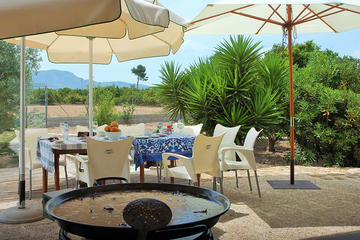 Valencian Paella and Sangria Experience in Albufera Park