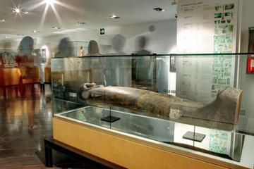 Barcelona Egyptian Museum Admission Ticket