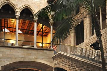 Picasso Museum Experience in Barcelona: Skip-the-Line Museum Access and Walking Tour