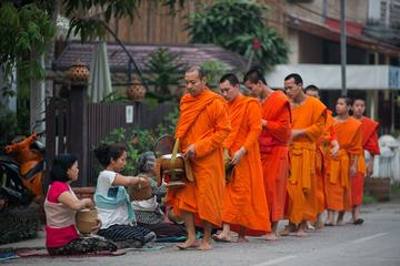 Almsgiving Ceremony in Luang Prabang with a Local Guide