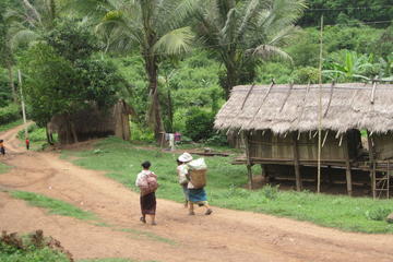 Half Day Living Land Farm from Luang Prabang