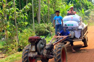 Private Tour: 2-Day Khmer Village Stay from Siem Reap