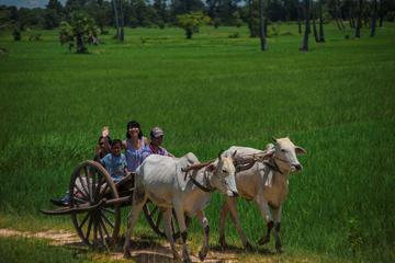 Siem Reap Local Life and Community Village Full-Day Tour