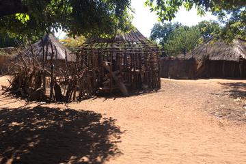 Community visits - full day package
