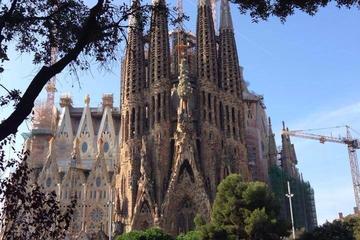 Magic Tasting Sagrada Familia Skip The Line Wine And Tapas