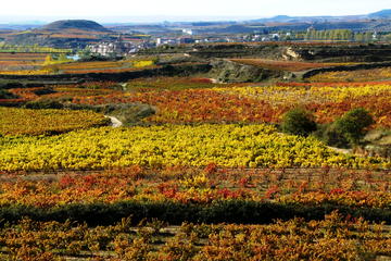 Customized Basque Country Private Day Tour