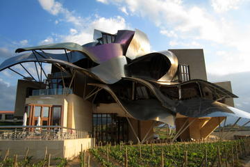 Private Rioja Wine Tour from San Sebastian
