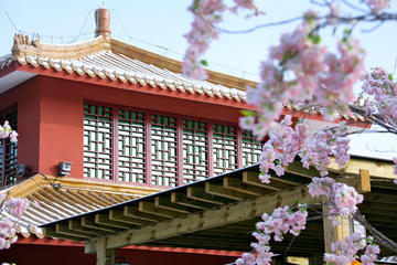 Private Hot Springs, Dinner with Show, and Night Tour in Beijing
