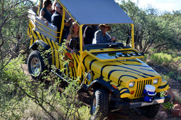 Day Trip Ambush Jeep & Horseback near Camp Verde, Arizona 