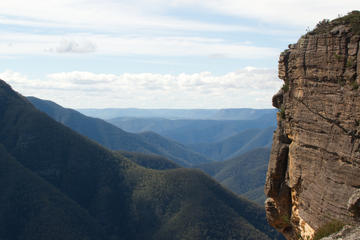 Inside the Greater Blue Mountains World Heritage - A Wildlife Safari Overnight