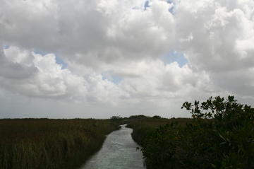 Sian Ka'an Biosphere Reserve Tour from Cancun