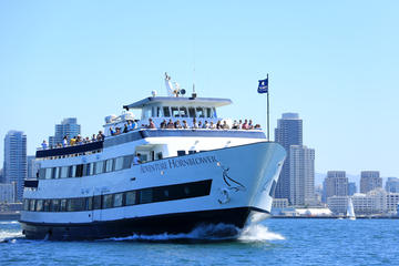 San Diego One Hour Harbor Cruise and Sea Lion Adventure